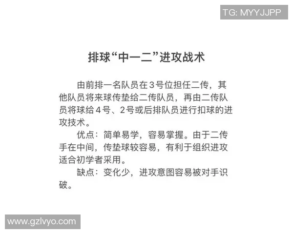 南京排球队战术对比深度解析与未来发展趋势探讨