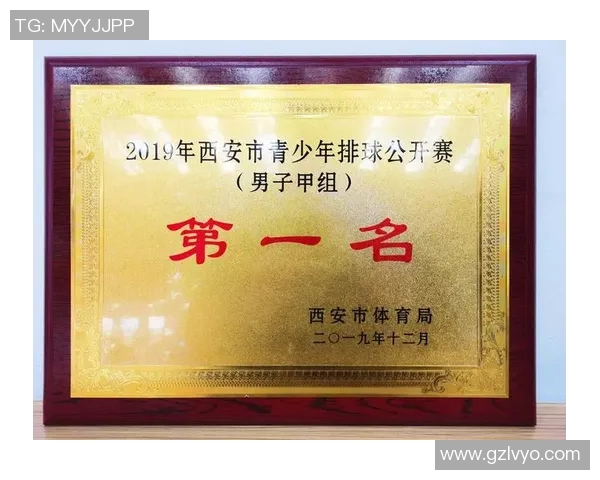 深圳排球队在全国排球耐力排行榜中荣获第九名的佳绩分析 深圳排球队在全国排球耐力排行榜中荣获第九名的佳绩分析