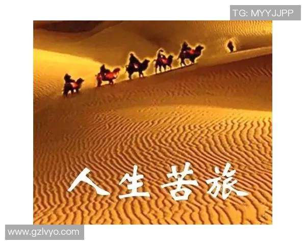 深度对话：李伟如何在足球旅程中追寻梦想与挑战