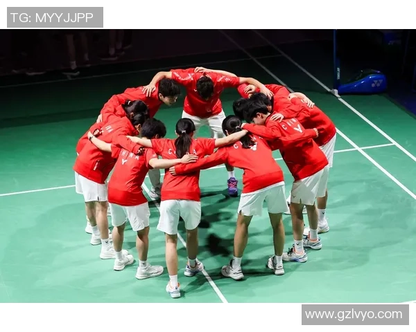 西安羽毛球队精英赛表现分析团队协作的重要性与亮点