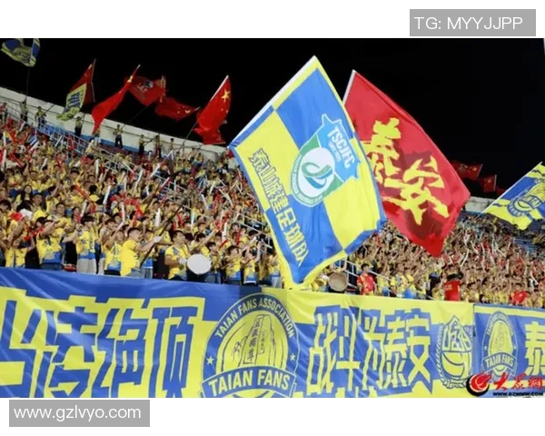 足球明星齐聚汕尾共庆盛事引发球迷热潮 足球明星齐聚汕尾共庆盛事引发球迷热潮